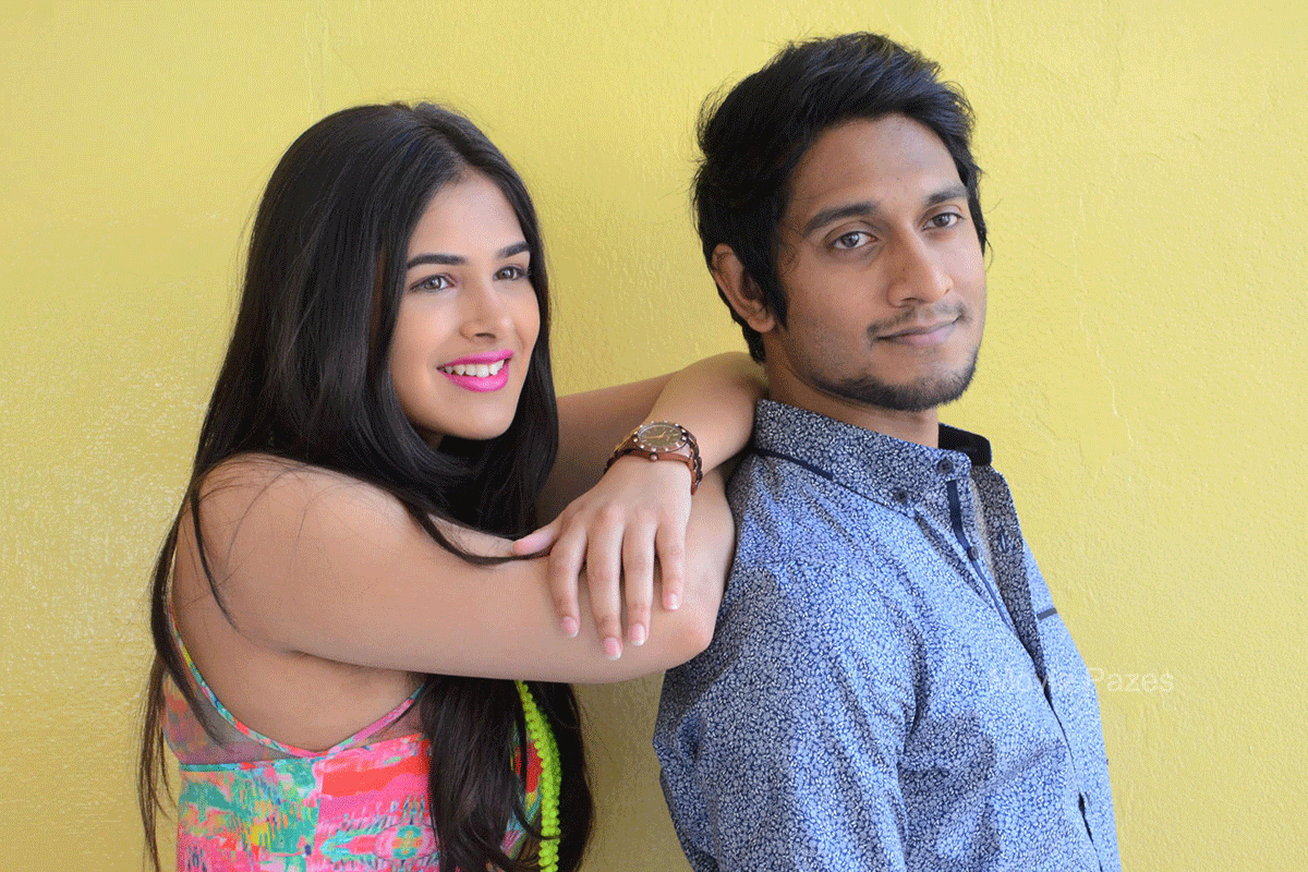 inkenti-nuvve-cheppu-press-meet